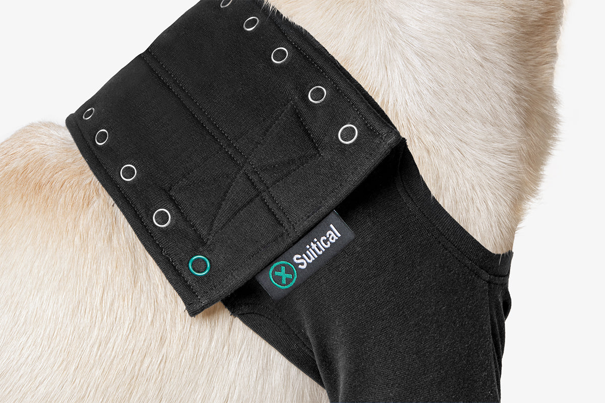 Suitical Recovery Sleeve® Dog