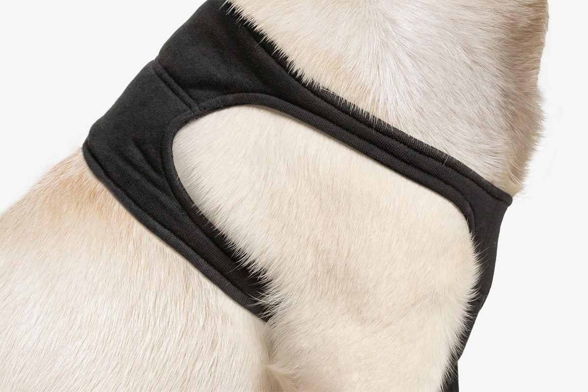 Suitical Recovery Sleeve® Dog