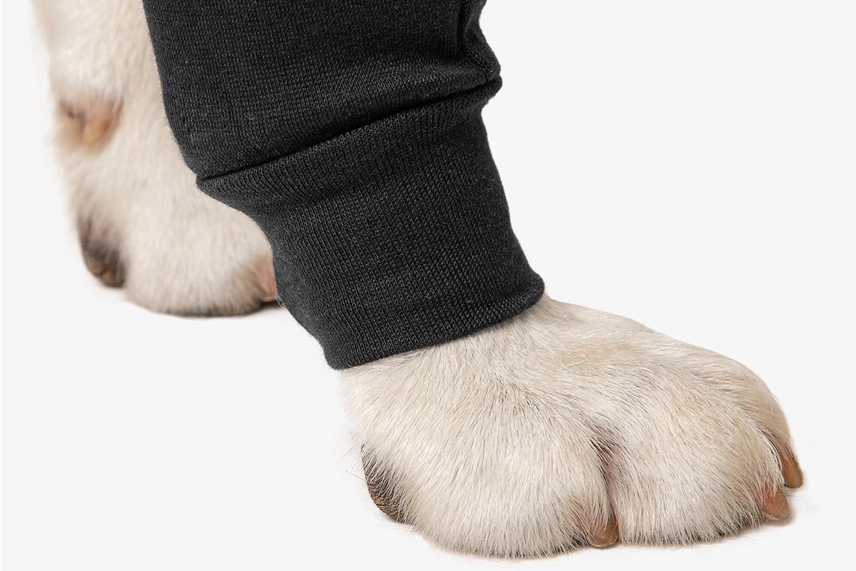 Suitical Recovery Sleeve® Dog