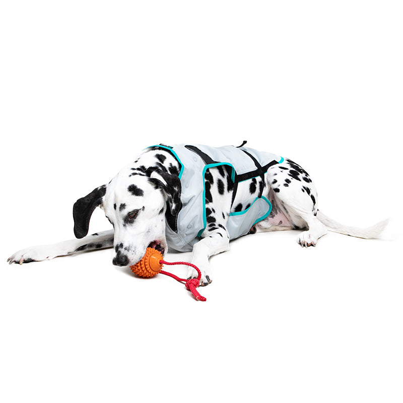Suitical Dry® Cooling Vest Dog