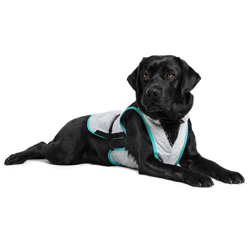 Suitical Dry® Cooling Vest Dog