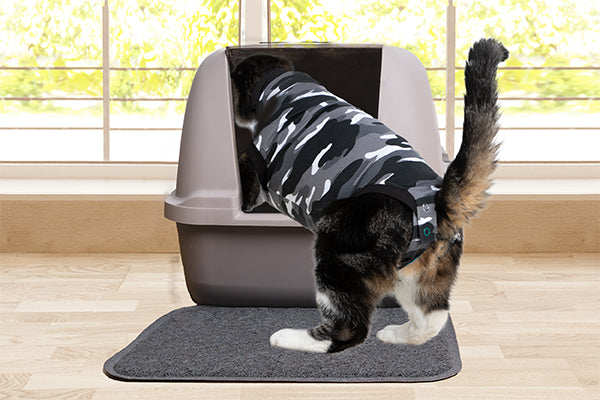 Suitical Recovery Suit® Cat