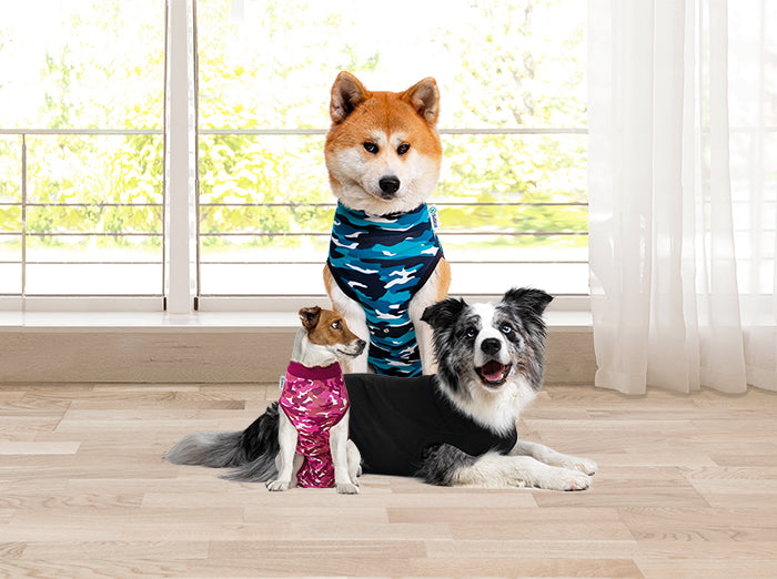 Suitical Recovery Suit® Dog