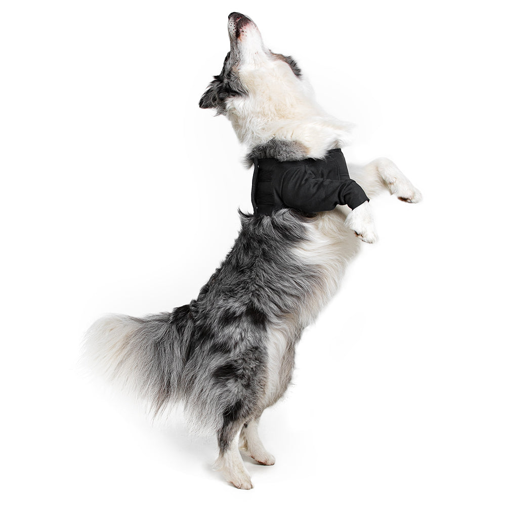 Suitical Recovery Sleeve® Dog