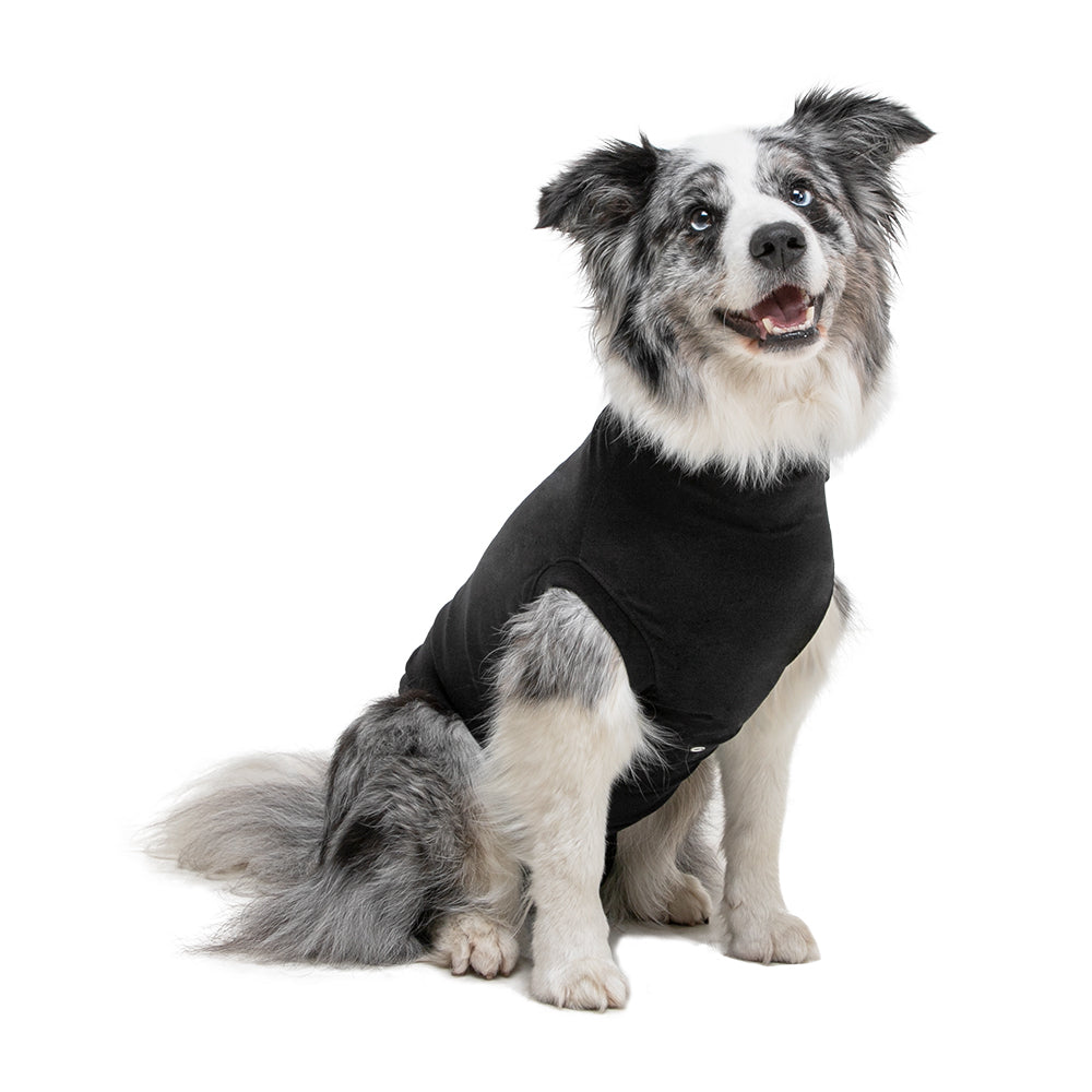 Suitical Recovery Suit® Dog